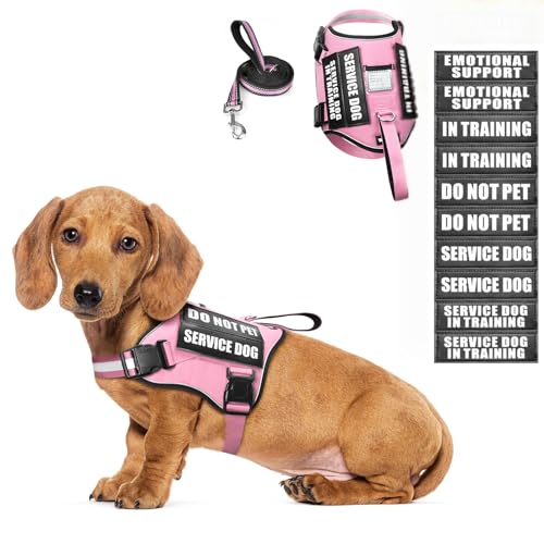 Service Dog Harness and Leash Set (X-Small / Pink)