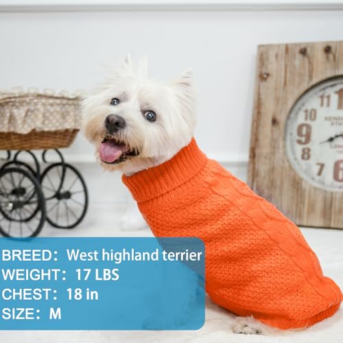 Turtleneck Dog Sweater (Small/Medium / Orange)