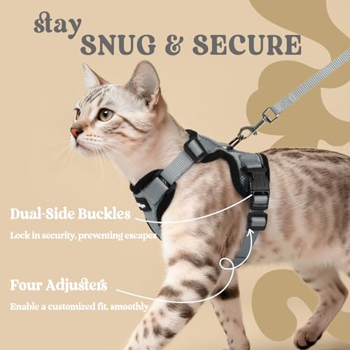 Cat Harness and Leash Set (M / Grey)