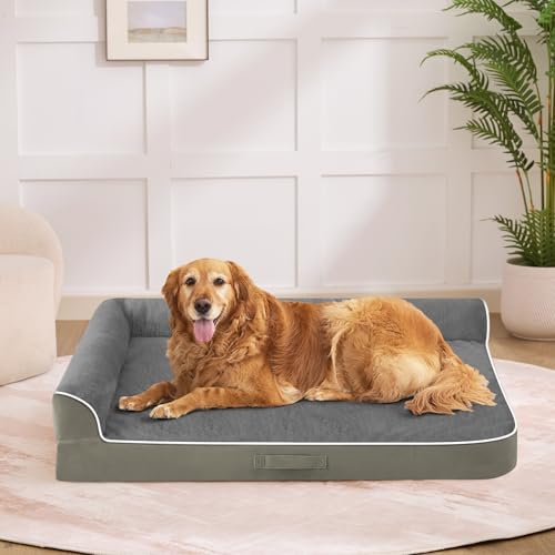 Orthopedic Dog Bed for Medium Size Dog (36.0"L x 27.0"W x 6.5"Th / Olive Green)