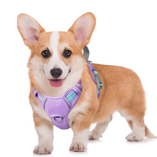 Dog Harness for Medium Sized Dog No Pull Dog Vest ID Tag Pocket (Lavender Sky / Medium)