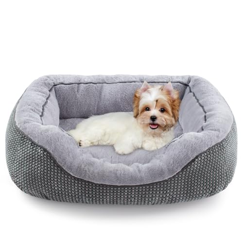 Small Dog Bed for Small Dogs (S (20"x19"x6") / Grey)