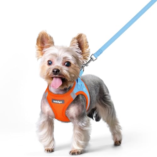 Dog Harness Small Sized and Leash Set (Blue & Orange / Xs (chest: 13.3 - 15.5"))