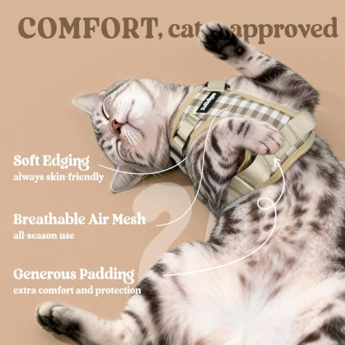 Cat Harness and Leash Set (M / Foamy Coffee)