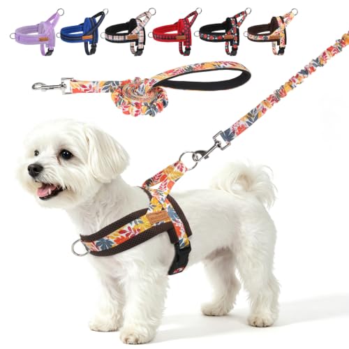 Small Dog Harness and Leash Set (Fall Leaves / S: Chest 17.5"-22")