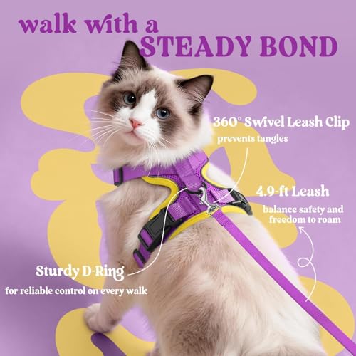 Cat Harness and Leash Set (M / Purple & Yellow)