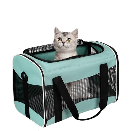 Cat Dog Carriers Soft (green / 17.0"L x 11.0"W x 11.0"H)