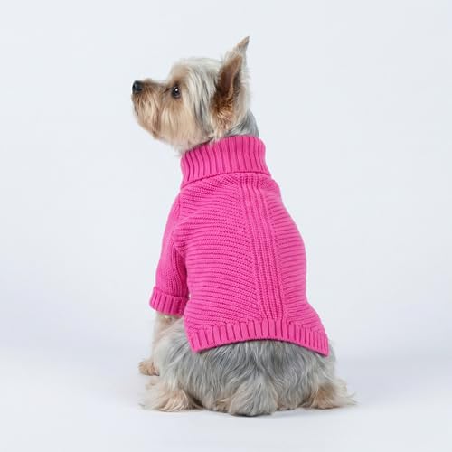 Valentines Dog Turtleneck Sweater (X-Small / Rose Red)