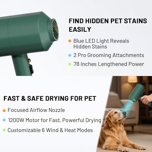 Dog Cat Hair Dryer for Medium