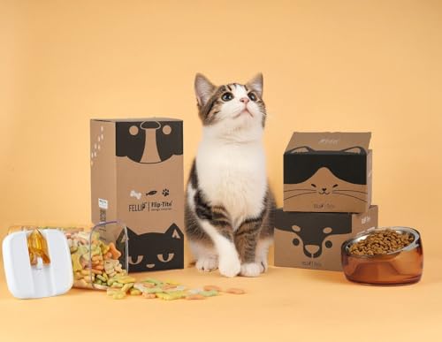 Pet Oblik Whisker Fatigue Cat Food Bowl Raised Stainless Steel Shallow Dish (Gold / 0.5 Cups Shallow Dish)