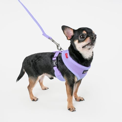 Soft Dog Harness No Choke Over (Violet / Small)