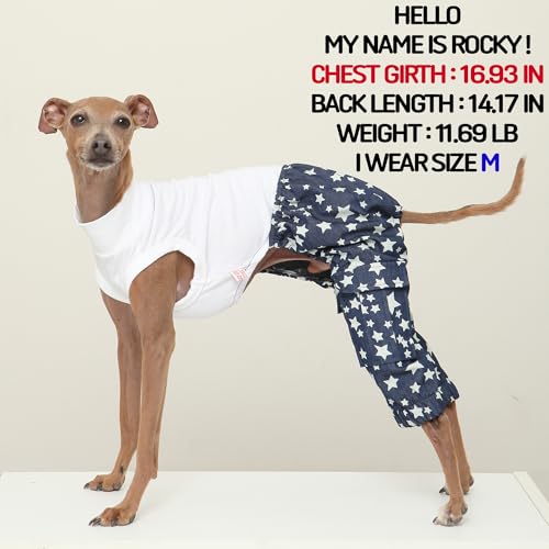 D Doggy Star Italian Greyhound Clothes Cargo Pants Onesie Outfit Whippet for Dog Coat (S / Dnm Star Cargo)
