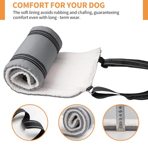 Dog Lift Harness for Large Dogs (X-Large (Pack of 1) / Grey)
