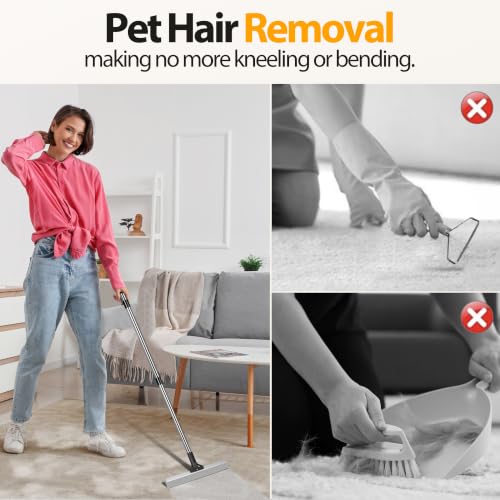 Carpet Rake for Pet Hair Removal Tool (Black)
