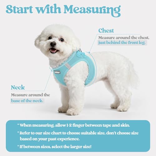 Dog Harness Small Sized and Leash Set (Mint Blue / Xs (chest: 13.3 - 15.5"))