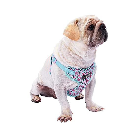 Soft & Comfy Made Well Cute Floral No Pull Mesh Dog Harness Vest in Light Blue ((17.5" - 21") Chest Girth (Pack of 1) / Light Blue with Flower)
