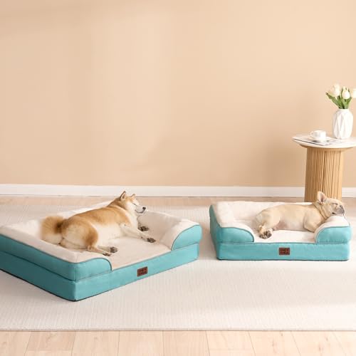 Orthopedic Dog Beds Large Sized Dog (Turquoise Blue / 36.0"l X 27.0"w X 6.5"th)