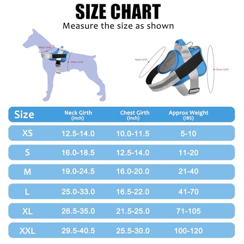 Dog Harness No (Large (Pack of 1) / BluePool)