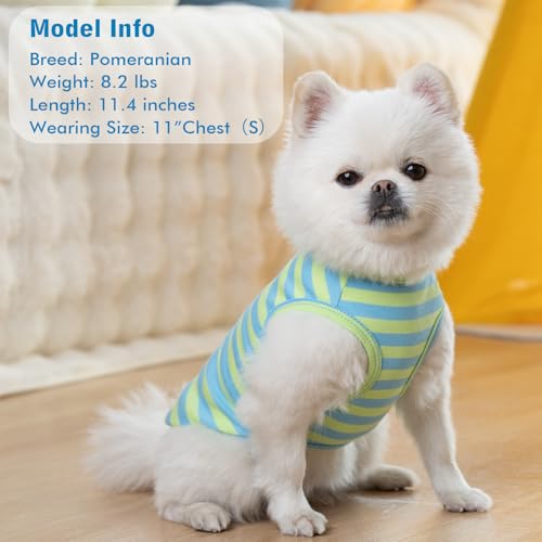 2Pack Cotton Dog Shirt for Small Dogs Soft Striped Tank Top (Small (4-7lbs) / 06# 2Pack (Blue+Striped))