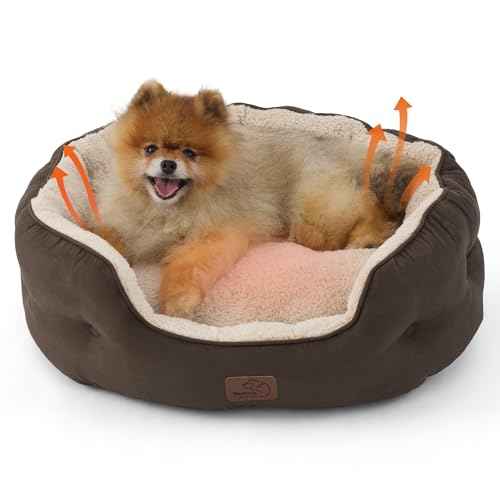Small Dog Bed Washable (25"L x 21"W x 8"Th / Brown-warming)