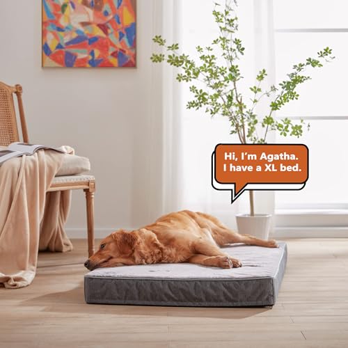 Cooling Dog Beds for Large Dogs (Purple Grey / L-Plus-36"x 27" x 3")