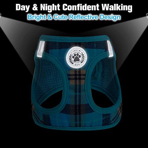 Dog Harness Medium Sized and Leash Set (Medium(Chest Girth 16" - 18") / Blue)