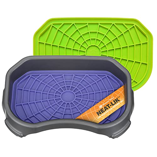 Neater Pets Neat (Purple & Green Mats w/ Gunmetal Tray)