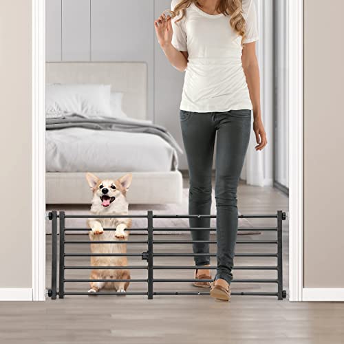 Indoor Dog Gate with Door (Black / 14''H × 26''- 41''W)