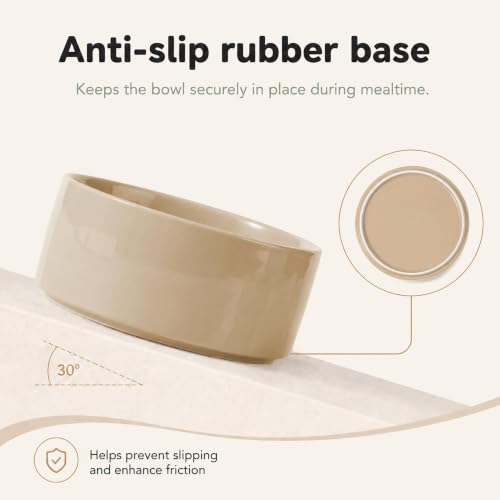 Ceramic Dog Bowls (Greige)