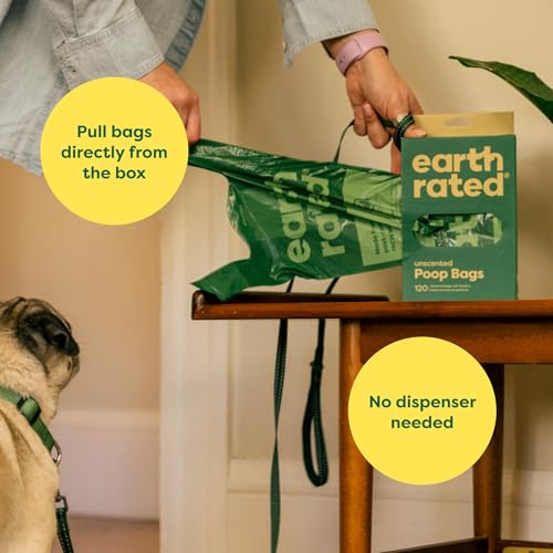 Dog Poop Bags for Dogs (120 Handle Bags (Box) / Unscented)