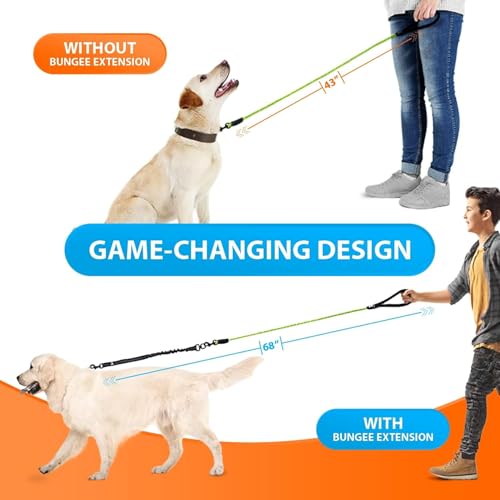 Heavy Duty Bungee Rope Leash (Green)