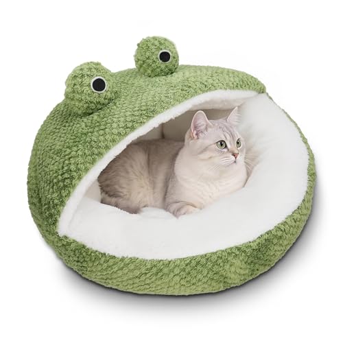 Cute Cat Beds Kitten Beds (Medium / White＆Green)