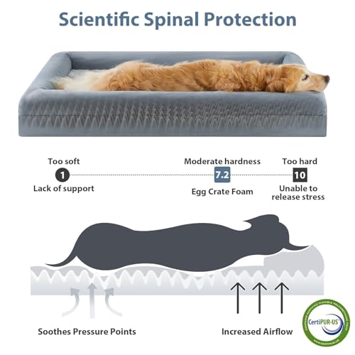 Giant Dog Bed Orthopedic for Senior Dog Bed Comfy Sleeping (Grey / XXXX-L (61x43x7.5in))