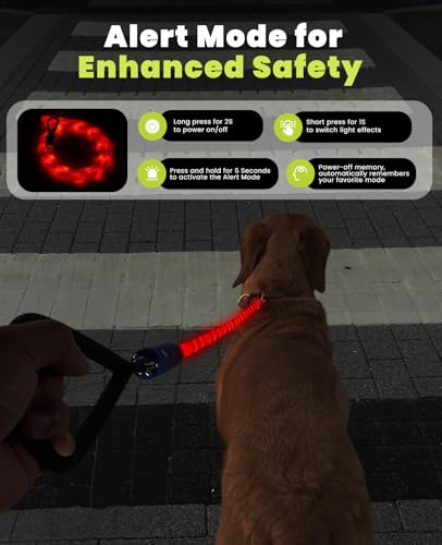 Light Up Dog Leash (Leash-5Ft)