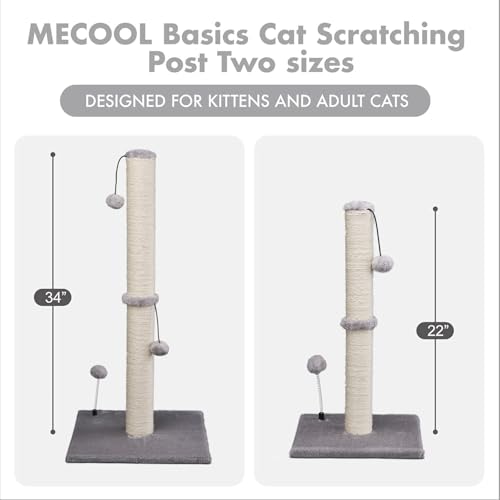 Cat Scratching Post Premium Basics Kitten Scratcher Sisal Scratch Posts with Hanging Ball 22" for Kittens or Smaller Cats (22 inches for kitten / Gray)