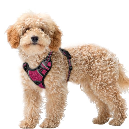 Dog Harness for Small Sized Dog No Pull Dog Vest ID Tag Pocket (Pink/Black / X-Small)