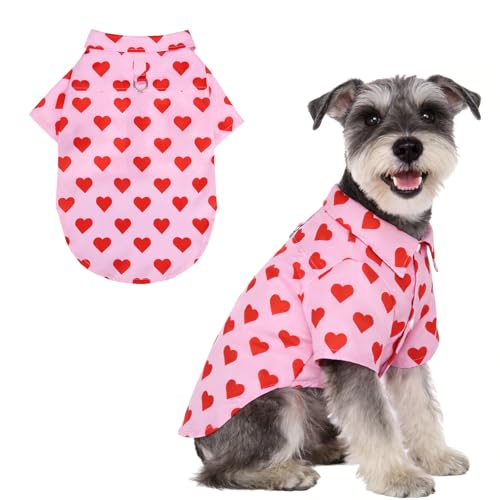 Valentine's Dog Shirt with Leash D (Medium / Pink Heart)