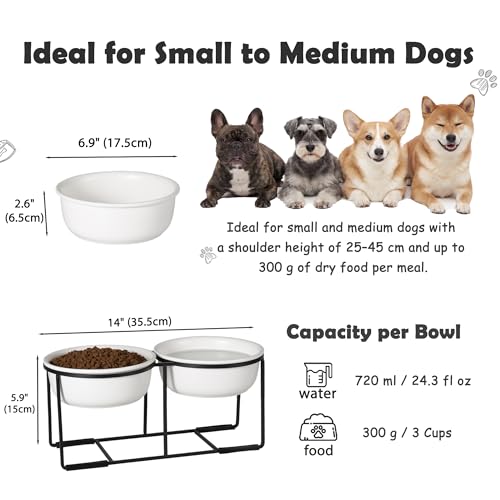 Ceramic Elevated Dog Bowl Set (Matte White / L × 2)