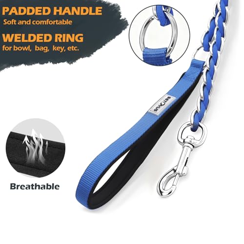 Chain Dog Leash (Blue / 4FT(5-30lb))