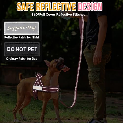 No Pull Dog Harness and Leash Set (Pink / Small)