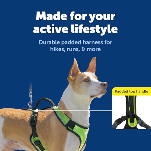 EasySport Harness (Medium / Apple Green)