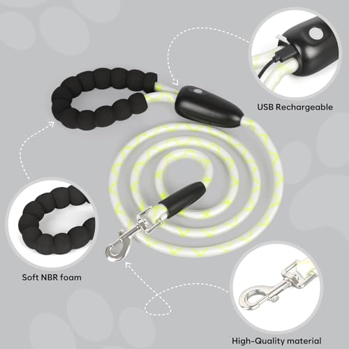 LED Light Up Dog Leash (Multi-Color / 6FT)