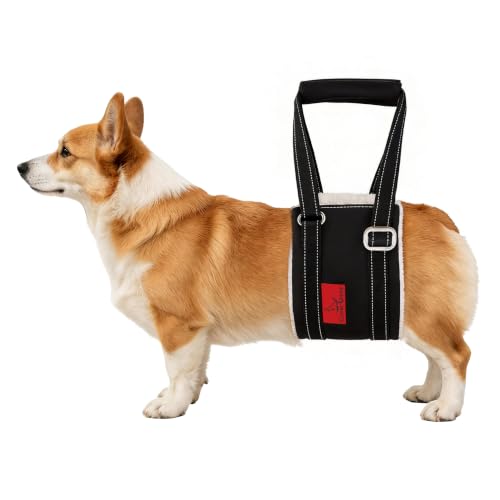 Leather Dog Lift Harness for Small Dogs (S)