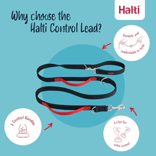 Control Leash for Dogs (Single)
