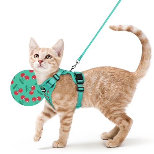 Cat Harness and Leash Set (S / Cherry Grove)