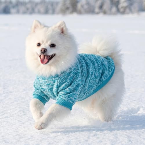 2 Pack Dog Sweaters for Small Dogs Girl Boy Winter Fleece Clothes Warm Soft Dog Sweatshirt Outfit for Dogs Cats Pet Apparel (Light Blue+Matcha Green / L (Back: 15.7", Chest: 19.6", 14-18 lbs))
