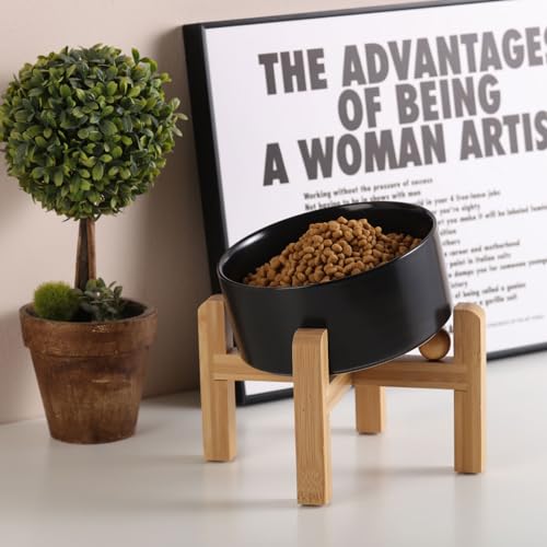 Black Elevated (Black / 3.6 CUPS - Medium Dog Bowls)