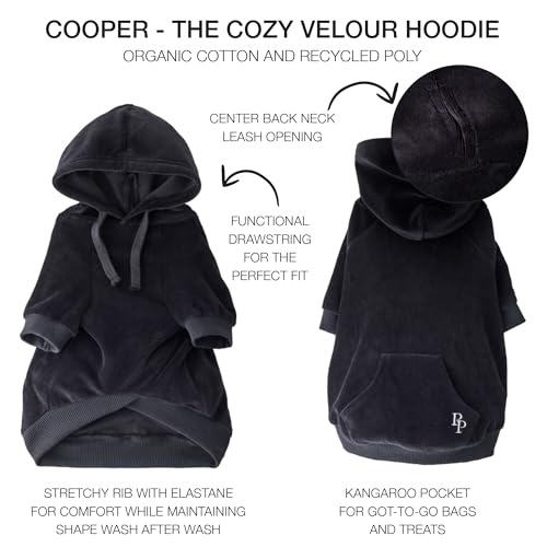 Cooper II Dog Hoodie (Black / Small (10-25 lbs))
