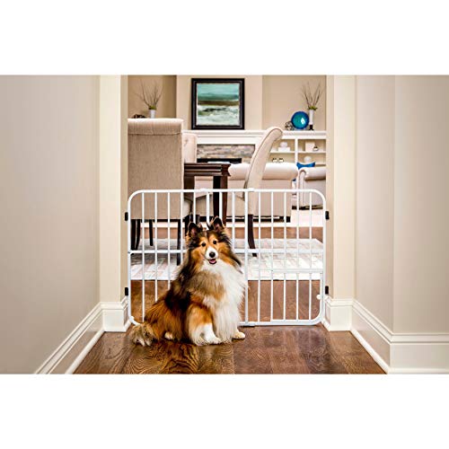 Tuffy Metal Expandable Pet Gate (24" Tall, 22-38" Wide)