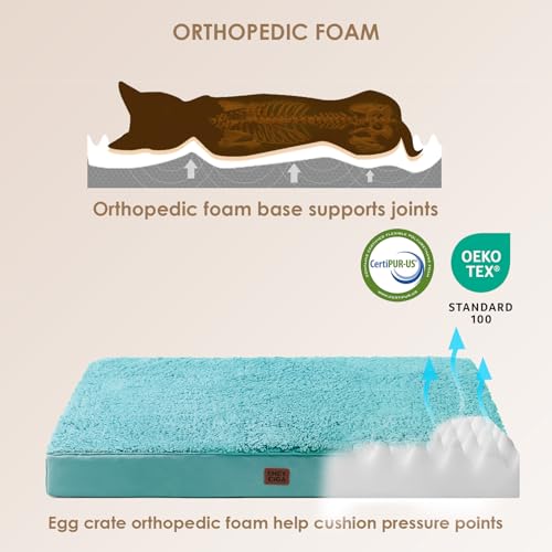 Orthopedic Dog Bed Large with Removable Washable Cover (36*27*3.5 inches / Turquoise Blue)